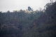 Blue Mountains 59