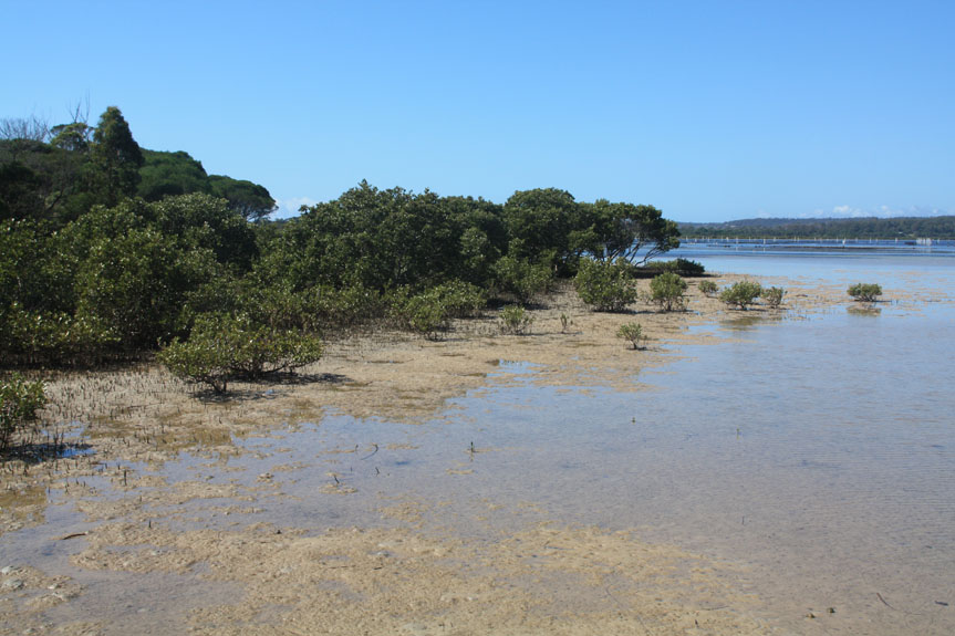 Tathra-080