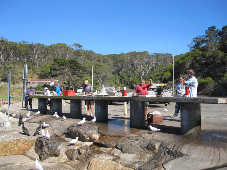 Tathra-163