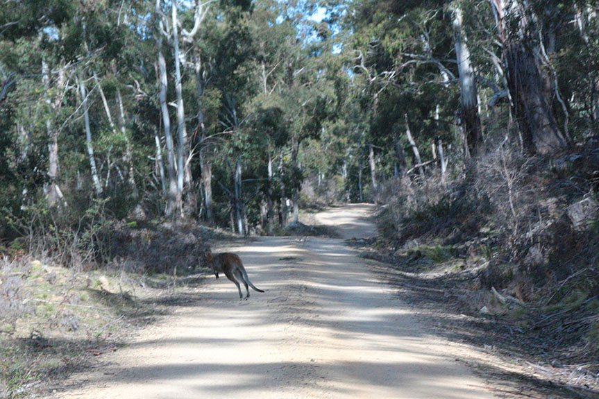 Tathra-24