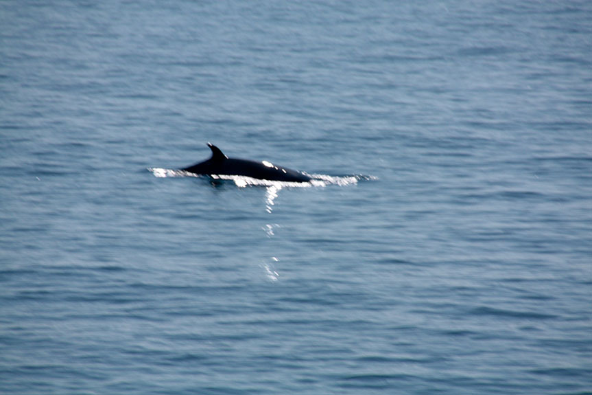 Tathra-48