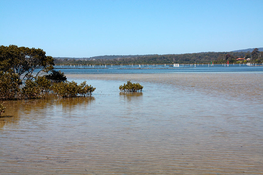 Tathra-76