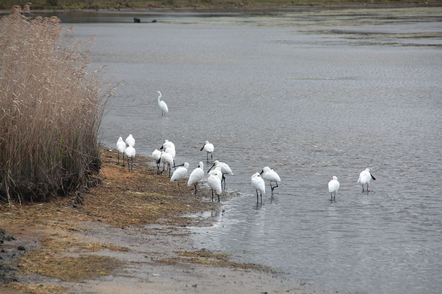 Lakes Entrance-06