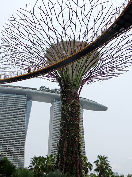 Singapore-022