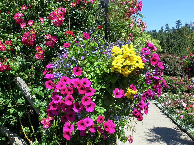 Vancouver Island 195