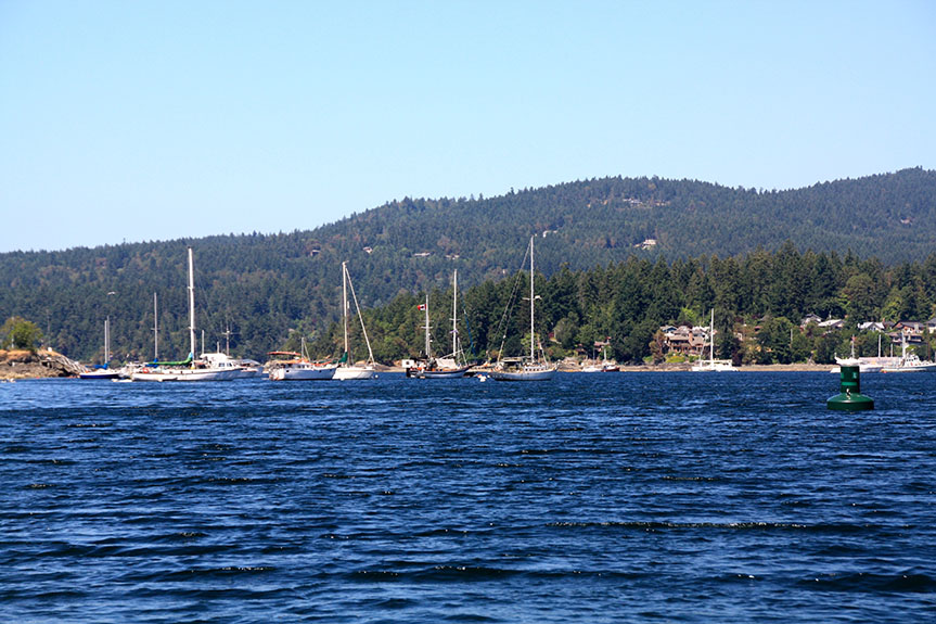 Vancouver Island 206