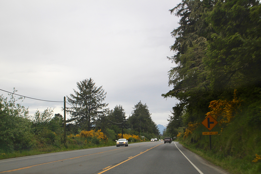 Oregon Coast-015