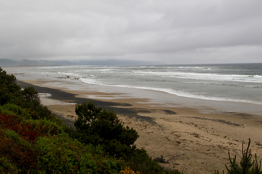 Oregon Coast-047