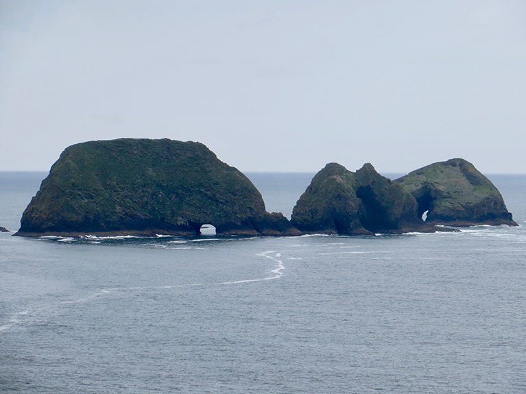 Oregon Coast-056