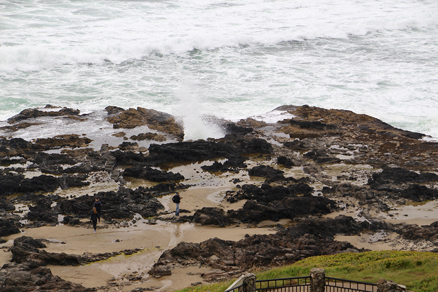 Oregon Coast-078