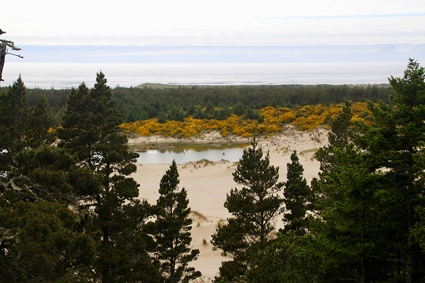 Oregon Coast-088