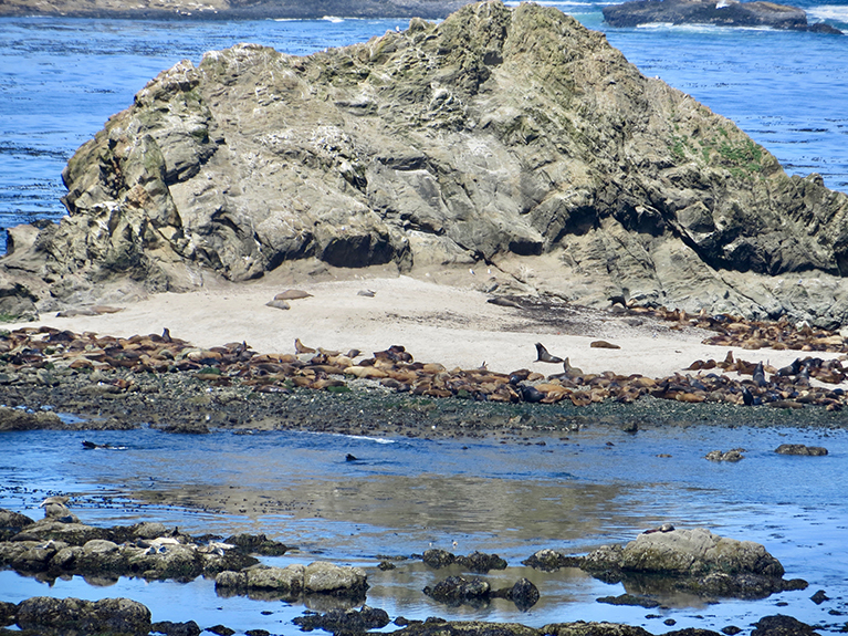 Oregon Coast-106