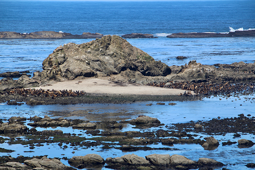 Oregon Coast-107