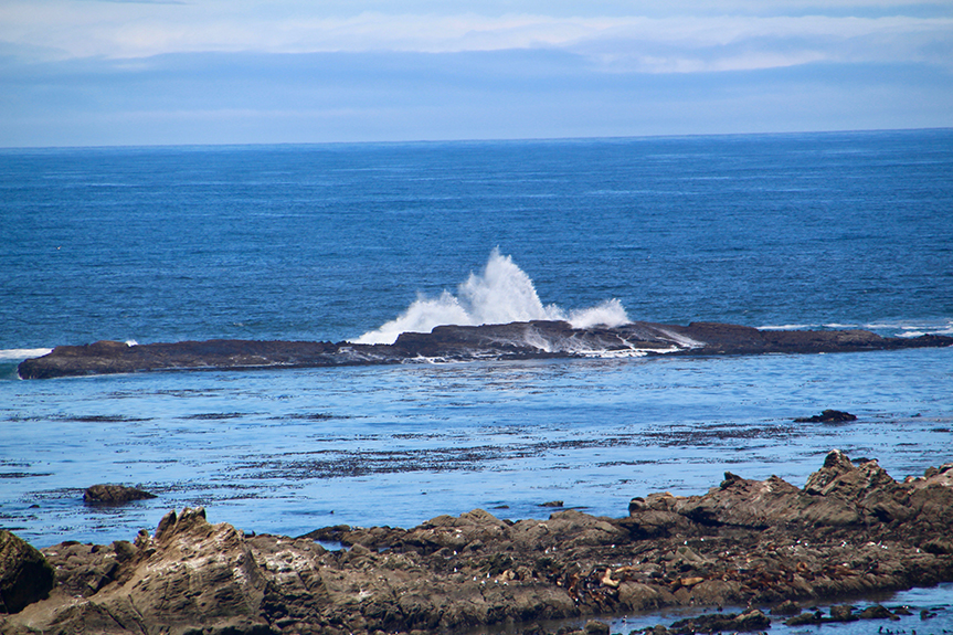 Oregon Coast-108