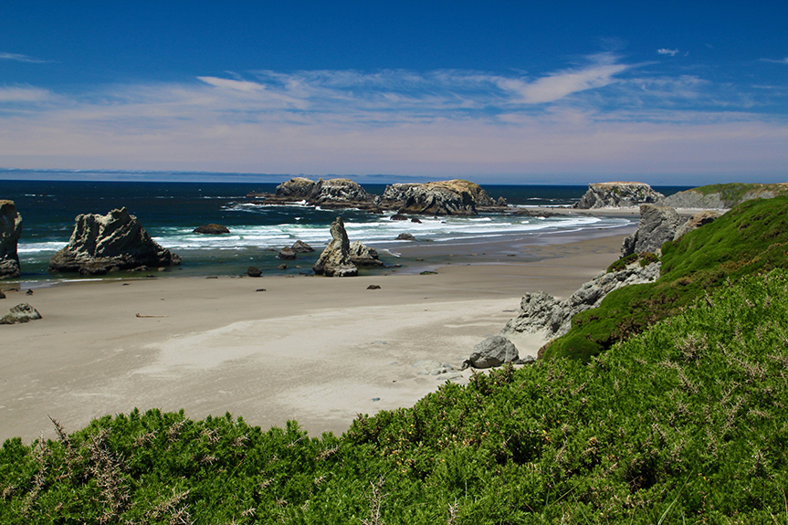 Oregon Coast-124