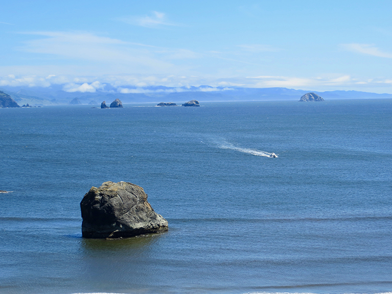 Oregon Coast-128