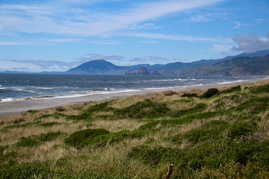 Oregon Coast-133