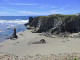 Oregon Coast-126