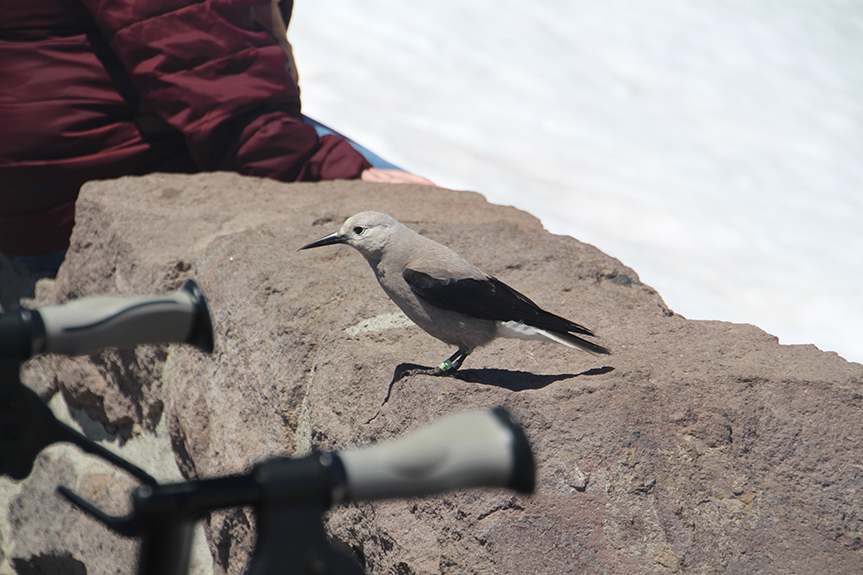 Crater Lake-084