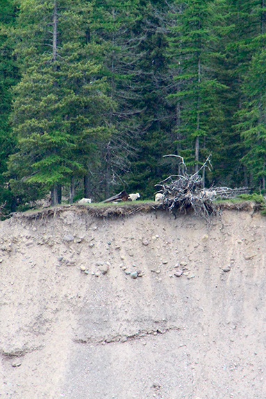 Glacier NP 040