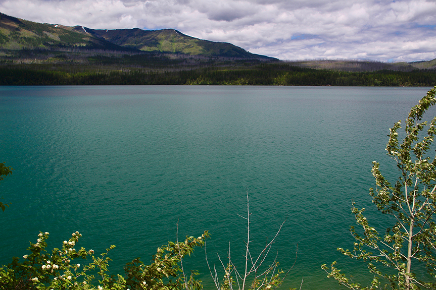 Glacier NP 108