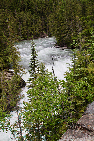 Glacier NP 115