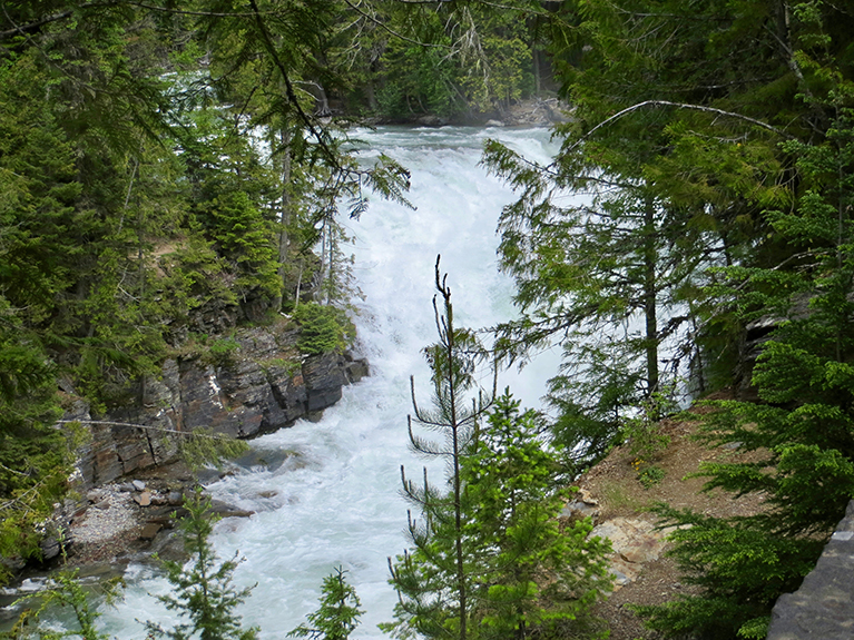 Glacier NP 116