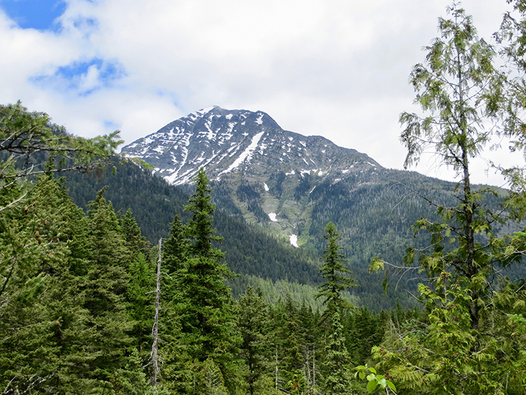 Glacier NP 117