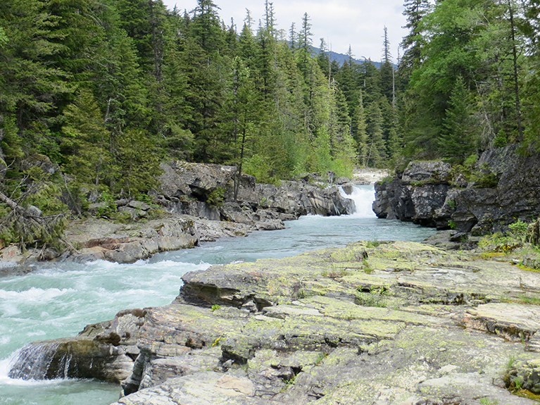 Glacier NP 135