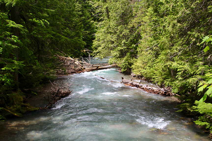 Glacier NP 143