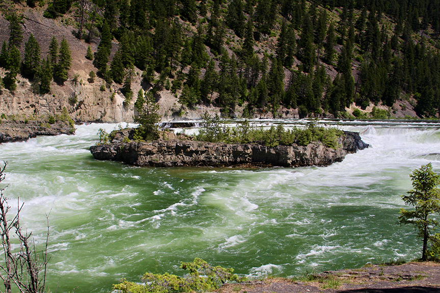 Glacier to Columbia River 022