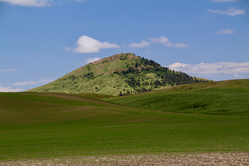 Glacier to Columbia River 052