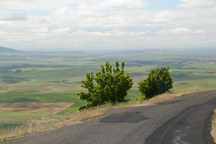 Glacier to Columbia River 060