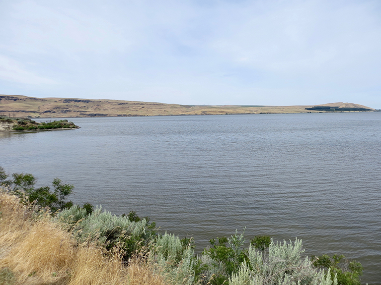 Columbia River 019