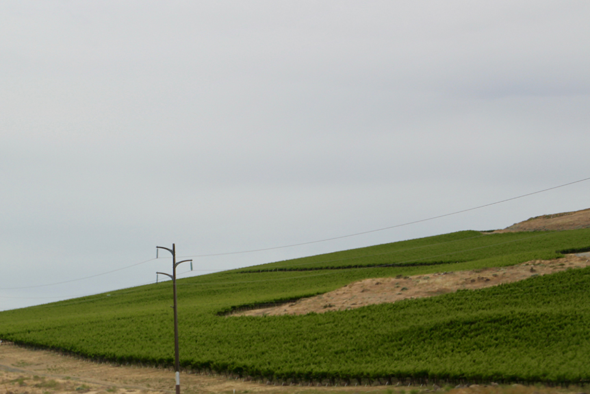 Columbia River 026