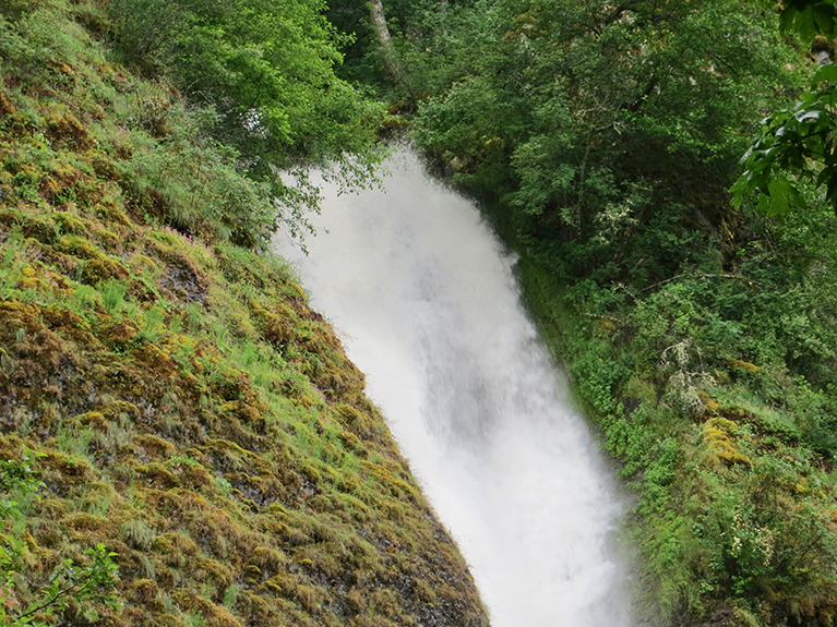 Columbia River 142