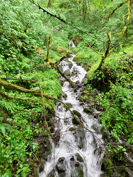 Columbia River 153