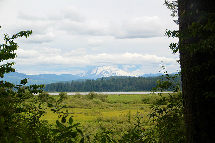 Mt St Helens 003