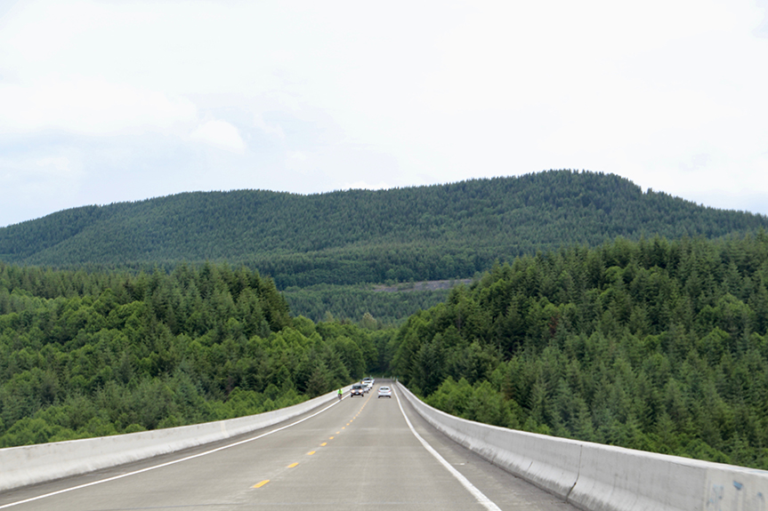 Mt St Helens 009