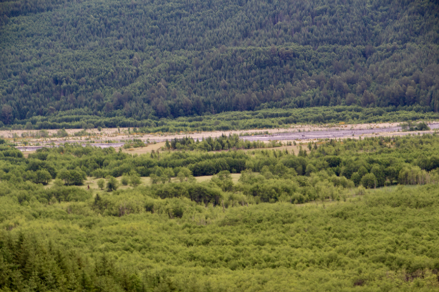 Mt St Helens 010