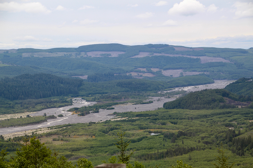 Mt St Helens 011