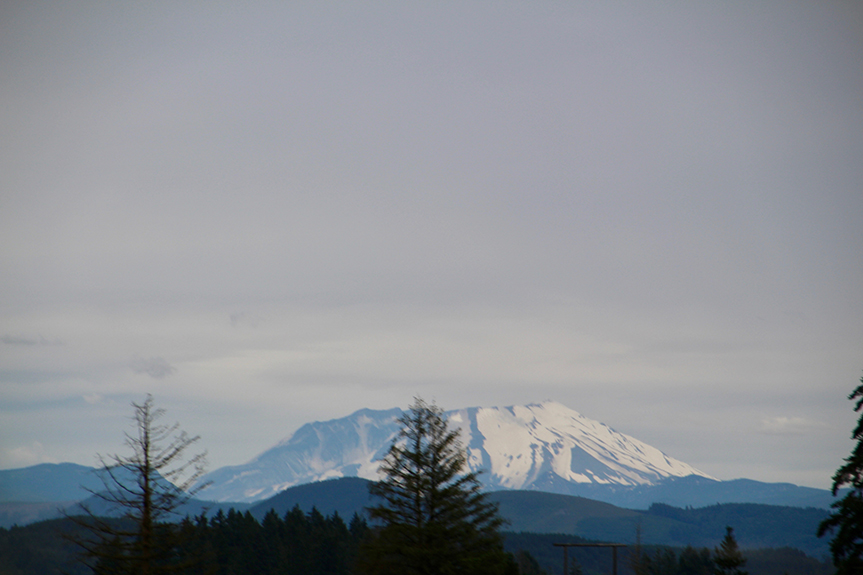 Mt St Helens 019