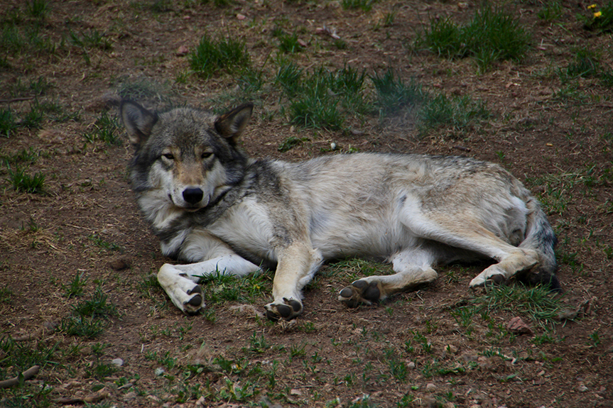 Col Springs to Gunnison-06