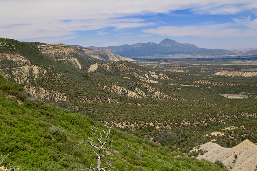 Mesa Verde 15