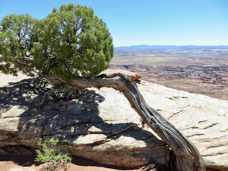 Bluff to Moab 25