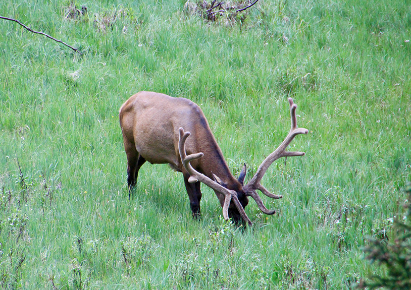 HS Springs to Estes Park 47