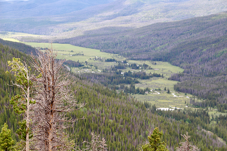 HS Springs to Estes Park 53