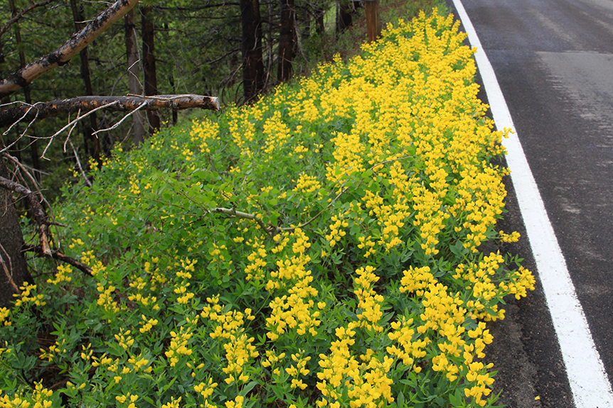 HS Springs to Estes Park 57