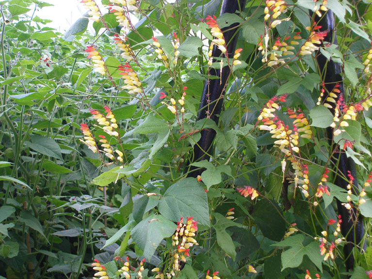 P8290059