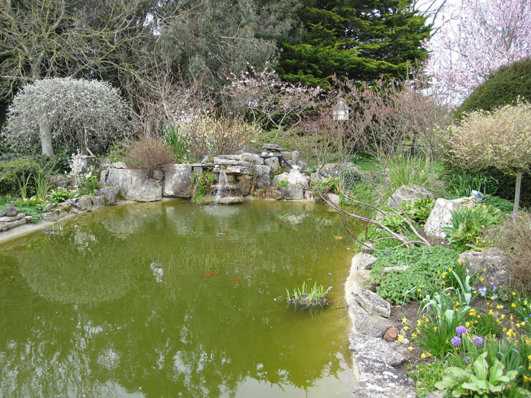 Image 007